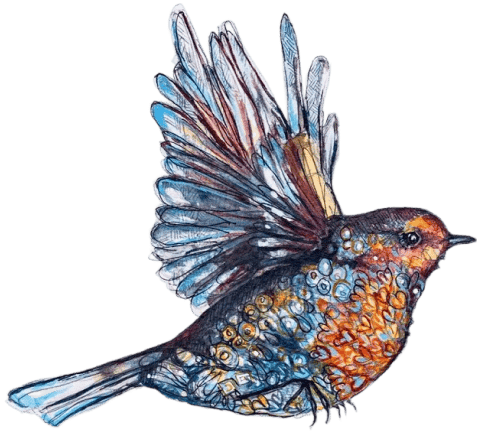 Left side bird image