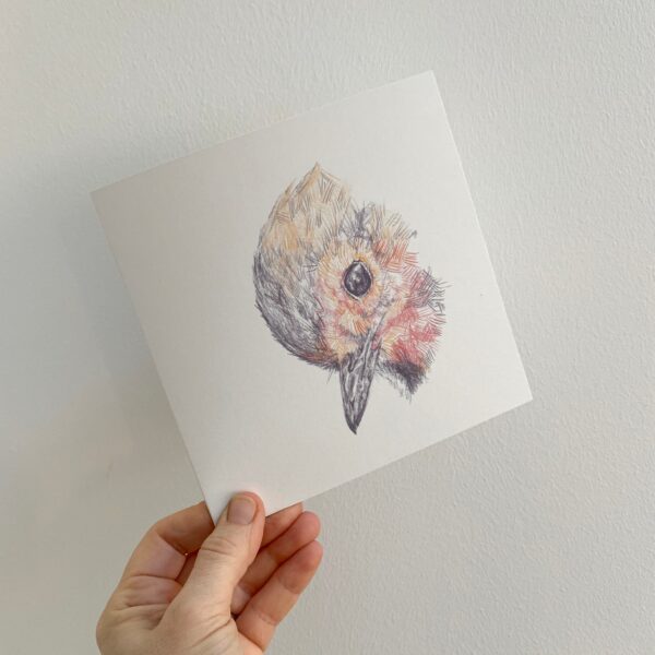 Robin Head Dipped - Image 4
