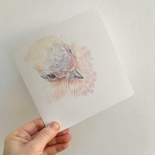 Thoughtful Robin - Image 4