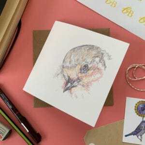 Coy Robin