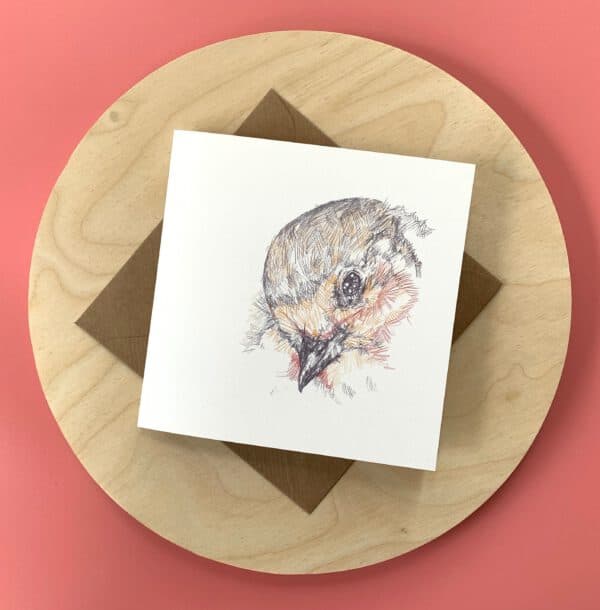 Coy Robin - Image 2