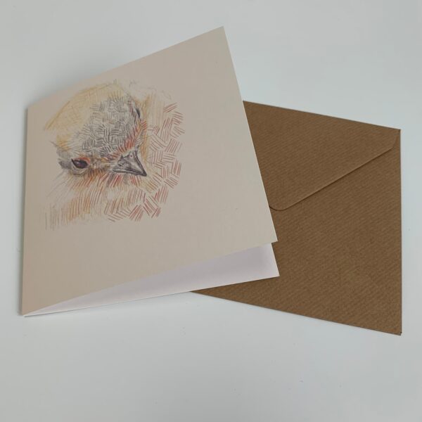 Thoughtful Robin - Image 6