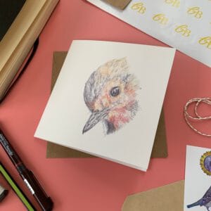Robin Head Dipped