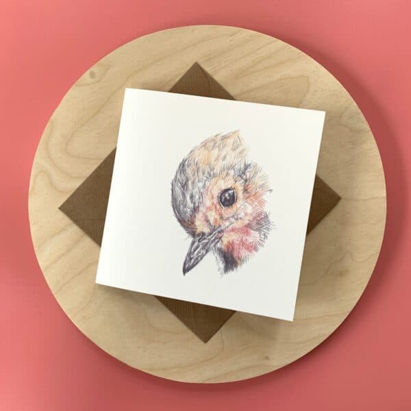 Robin Head Dipped - Image 2