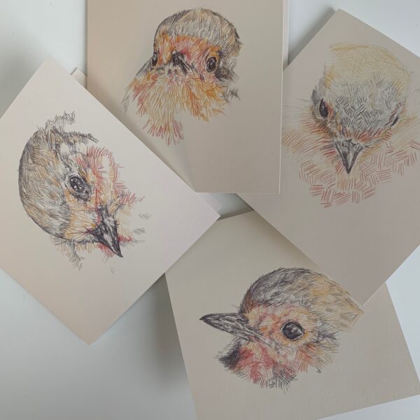 Robin Head Dipped - Image 6