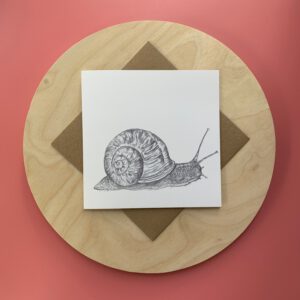 Mr Snail