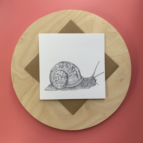 Mr Snail