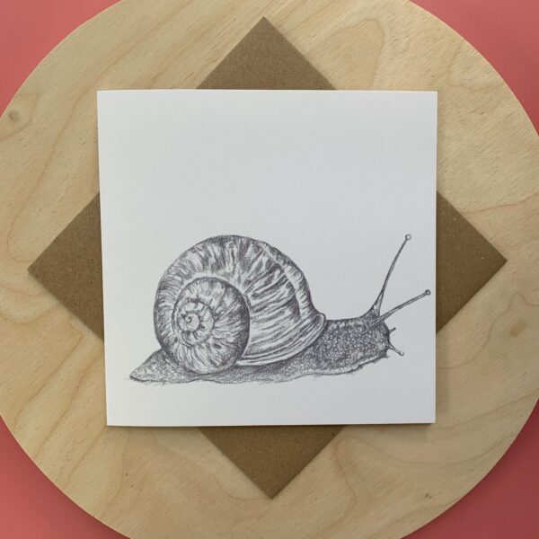 Mr Snail - Image 2