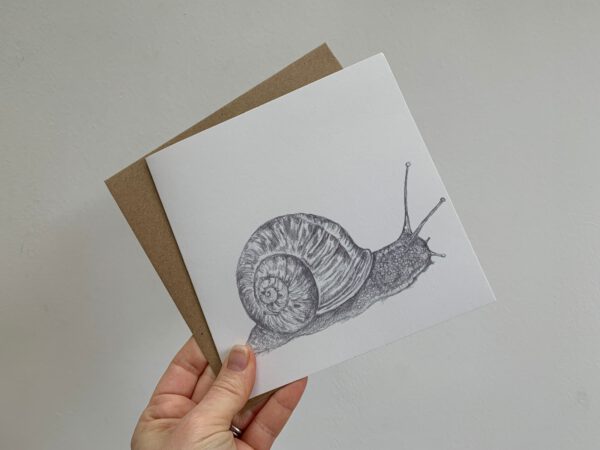 Mr Snail - Image 4