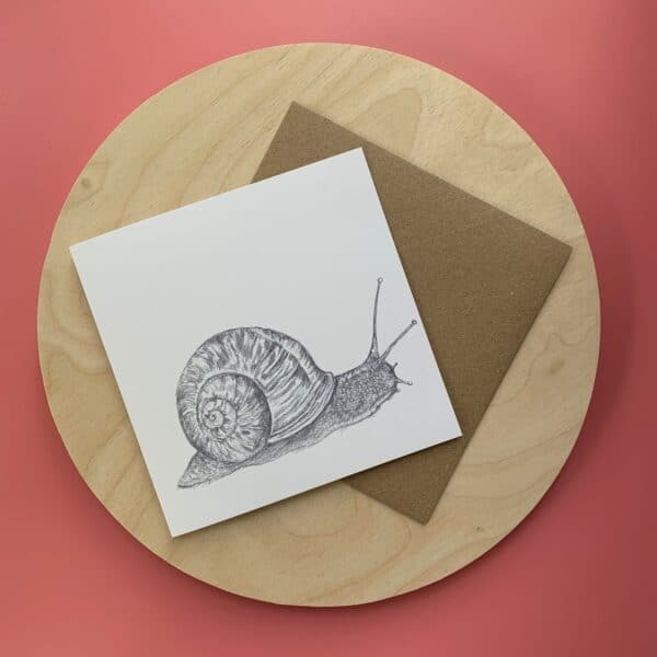 Mr Snail - Image 5
