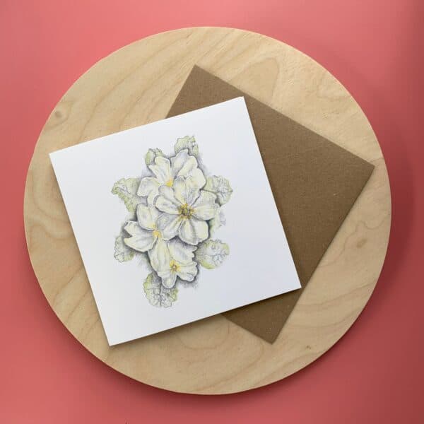 Primroses - Image 4