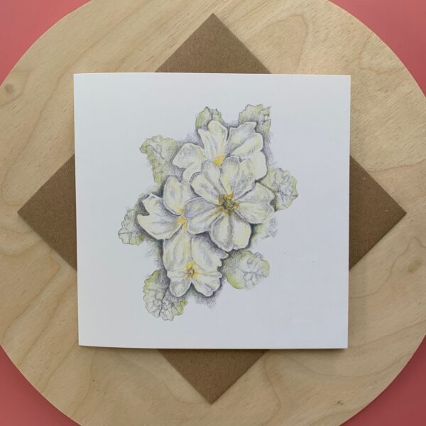 Primroses - Image 5