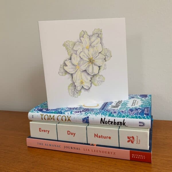 Primroses - Image 7