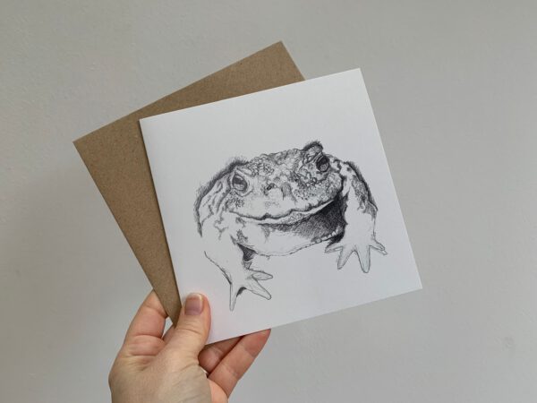 Not just a Common Toad - Image 5
