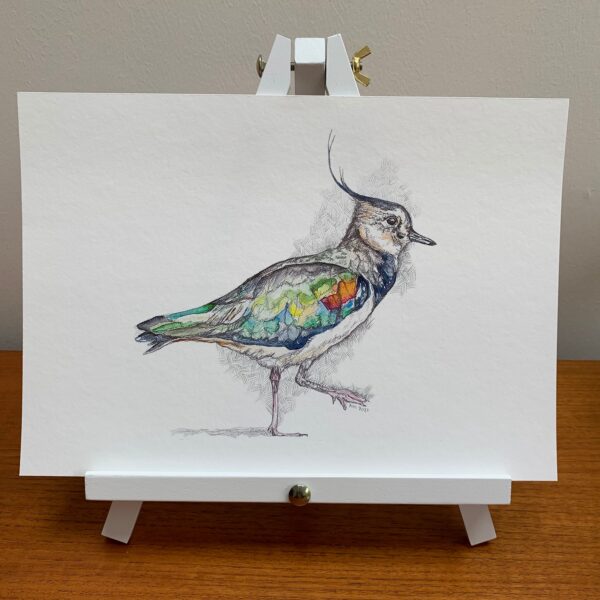 Memory Peewit - Image 4