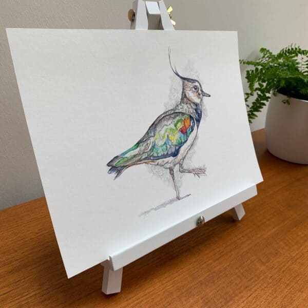 Memory Peewit - Image 7