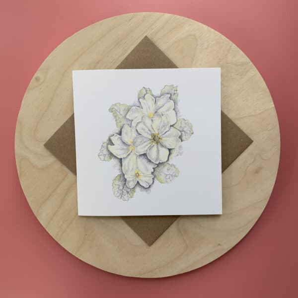 Primroses - Image 3