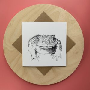 Not just a Common Toad