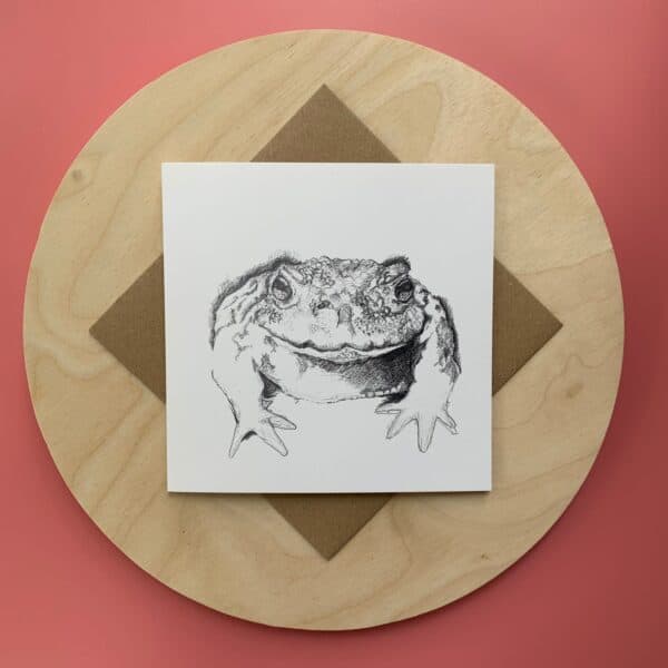 Not just a Common Toad