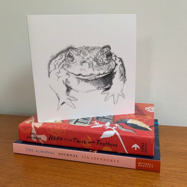 Not just a Common Toad - Image 2