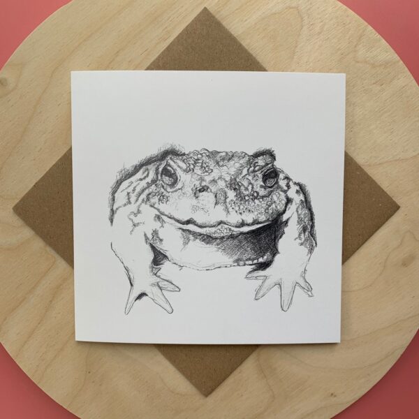 Not just a Common Toad - Image 3