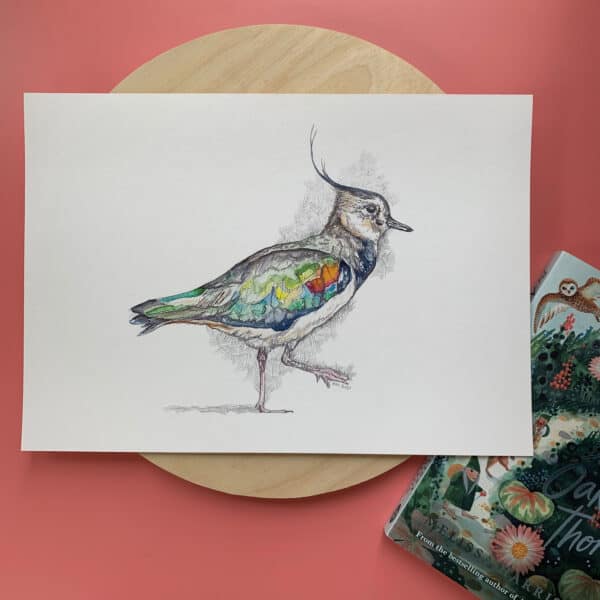 Memory Peewit - Image 3
