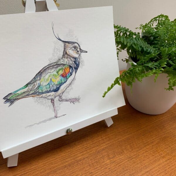 Memory Peewit - Image 6