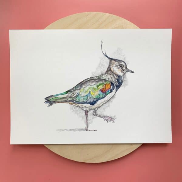 Memory Peewit - Image 2