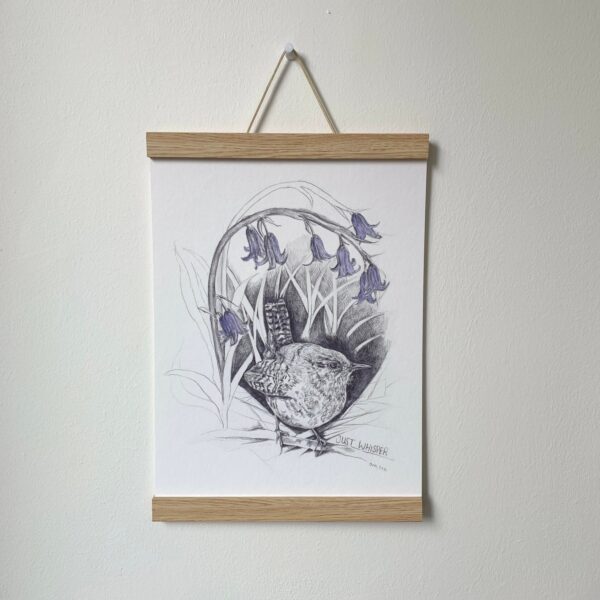 Just Whisper (Wren and Bluebells) - Image 3