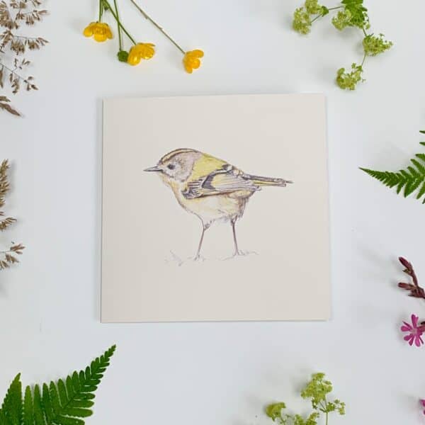 Goldcrest - Image 2