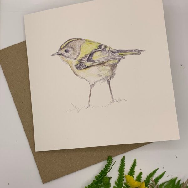 Goldcrest - Image 6