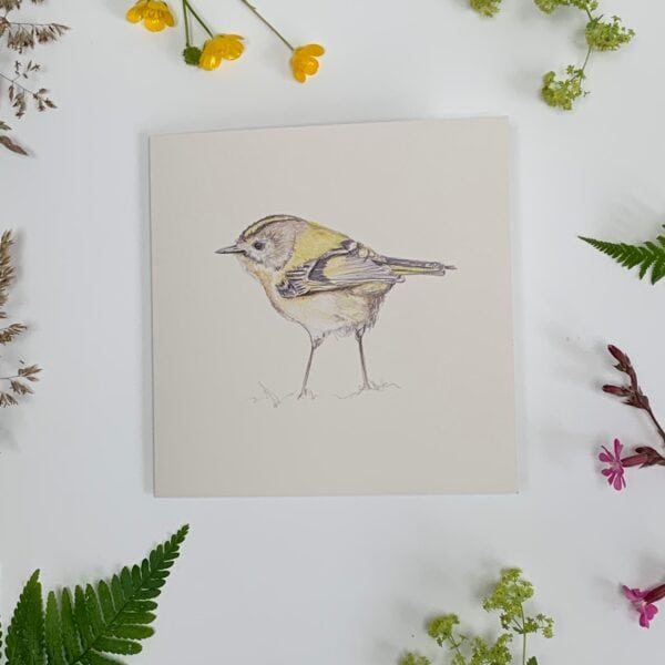 Goldcrest - Image 7