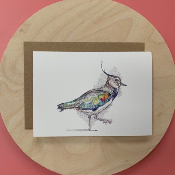 Memory Peewit (Lapwing) - Image 6