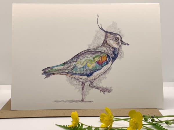 Memory Peewit (Lapwing) - Image 7