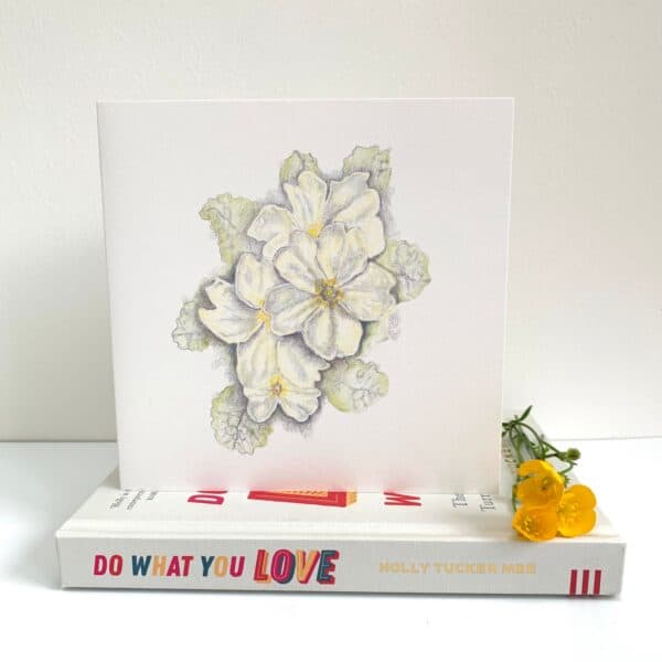 Primroses - Image 2