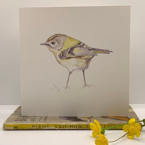Goldcrest - Image 4