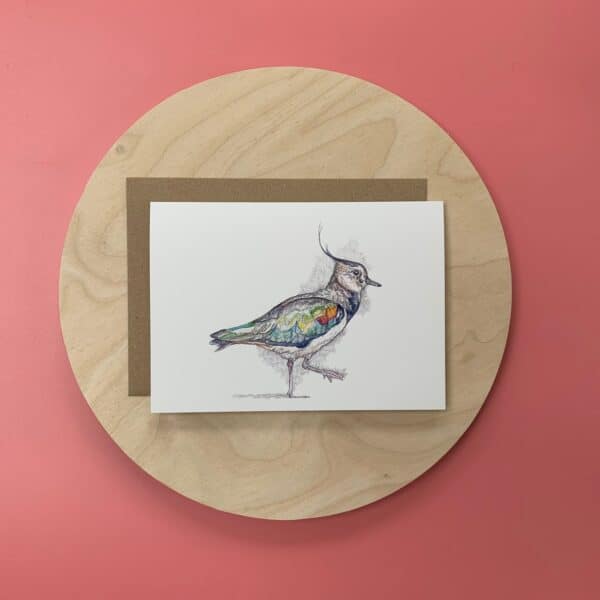Memory Peewit (Lapwing) - Image 2