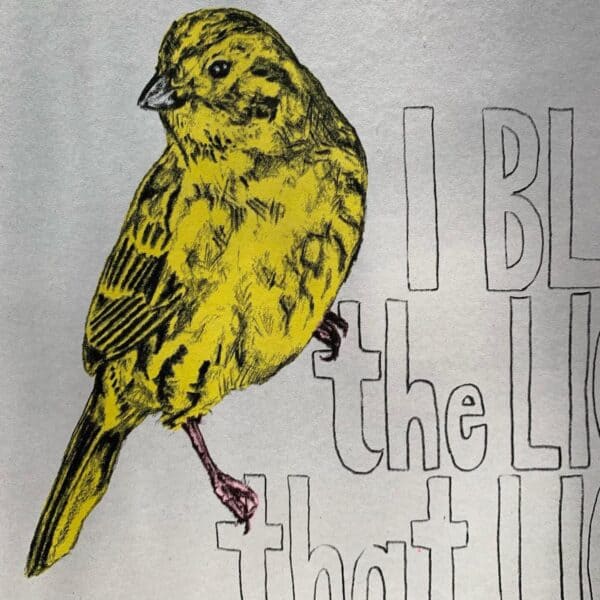 I Bless The Light - Image 8