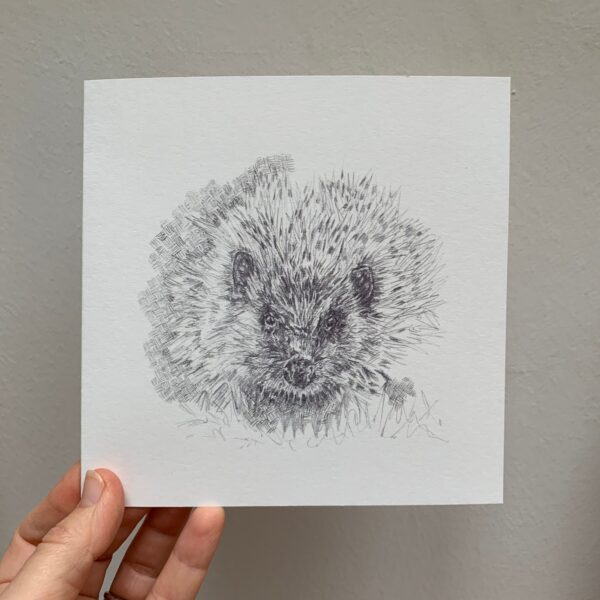 Hedgehog - Image 2