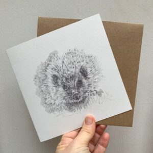 Hedgehog