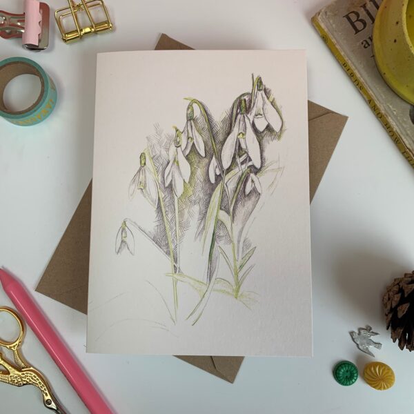 Snowdrops - Image 5