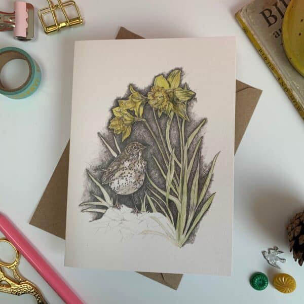 Songthrush and Sunlit Daffodils - Image 6