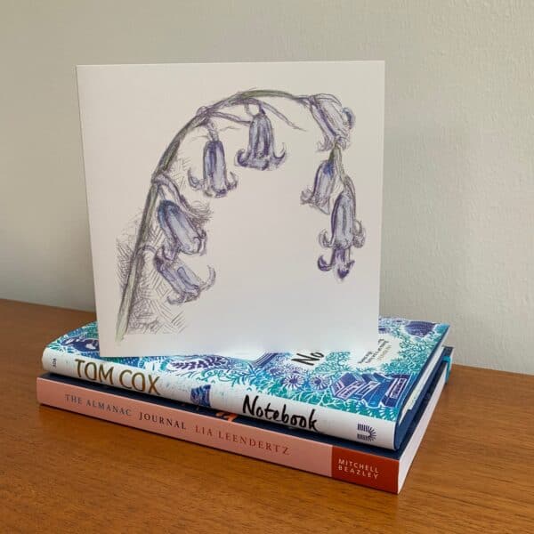 Bluebells - Image 7
