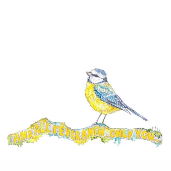 And All I Ever Knew… Only You (Bluetit stood atop Bennachie Twig) - Image 5