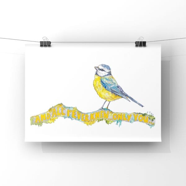 And All I Ever Knew… Only You (Bluetit stood atop Bennachie Twig) - Image 9