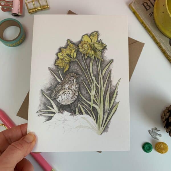 Songthrush and Sunlit Daffodils - Image 3