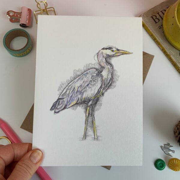 Watchful Heron - Image 2