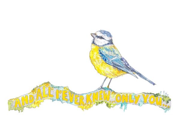 And All I Ever Knew… Only You (Bluetit stood atop Bennachie Twig) - Image 3