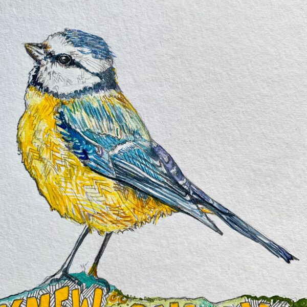 And All I Ever Knew… Only You (Bluetit stood atop Bennachie Twig) - Image 4