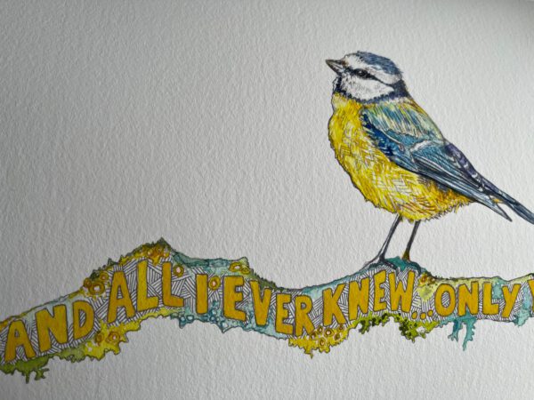 And All I Ever Knew… Only You (Bluetit stood atop Bennachie Twig) - Image 8